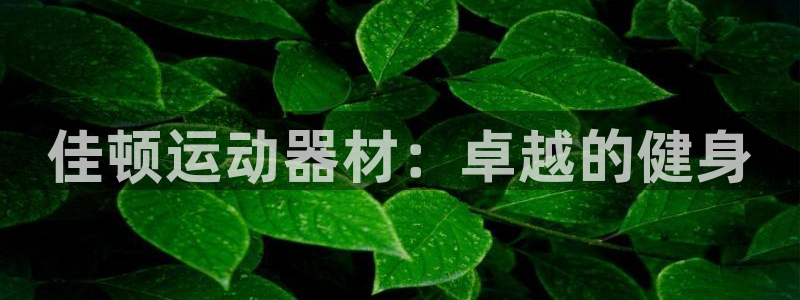 NG大舞台官网下载招商电话号码查询是多少：佳顿运动器材：卓越