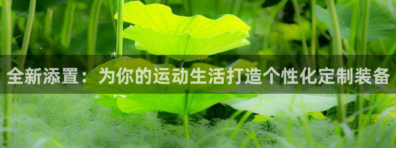 NG大舞台官网下载平台注册要钱吗安全吗：全新添置：为