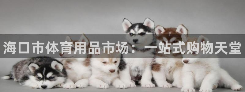 NG大舞台官网下载招商电话是多少：海口市体育用品市场：一站式